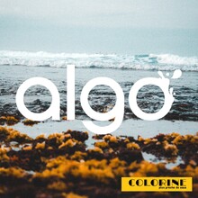 [FOCUS MARQUE] Algopaint est une entreprise française spécialisée dans la production de peintures biosourcées. Elle a pour objectif de proposer des solutions alternatives aux produits de peintures traditionnelles.Leurs peintures sont fabriquées à base de résine végétale (algues, minéraux) et sont constituées à 98% de matières naturelles. Elles ne contiennent pas de solvants ni de produits chimiques et sont donc moins polluantes pour l'environnement.Algopaint est engagé dans une démarche de développement durable en utilisant des emballages recyclables et en travaillant avec des fournisseurs locaux pour réduire son impact environnemental. 🍃🇫🇷#colorine #algopaint #biosourcé
